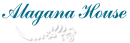 Alagana House | Antigua Private Villa Rental